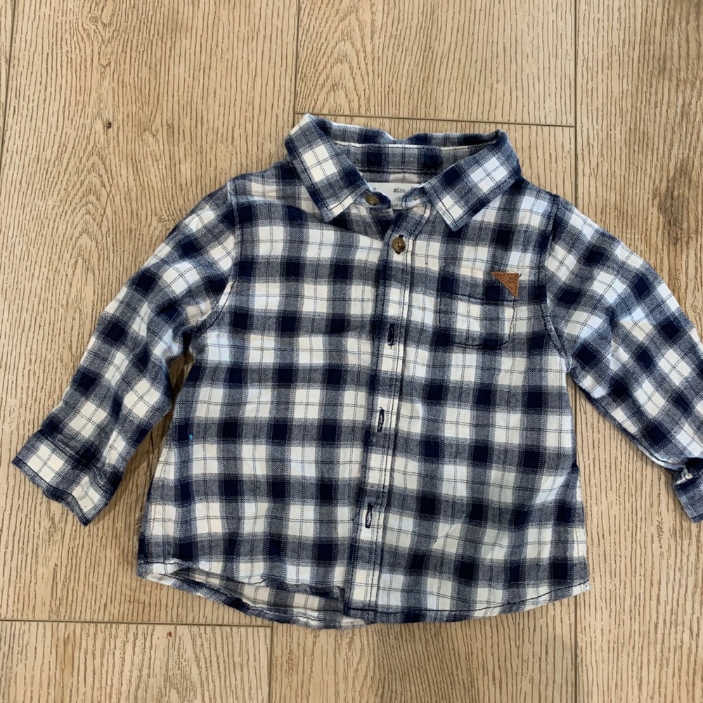Zara plaid button up